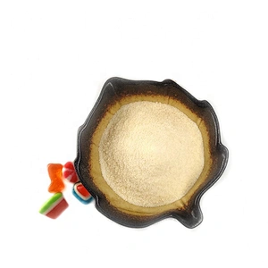 Good Price Well Known Brand Granule Gelatin for Food Additive Wholesale Price Gelatin