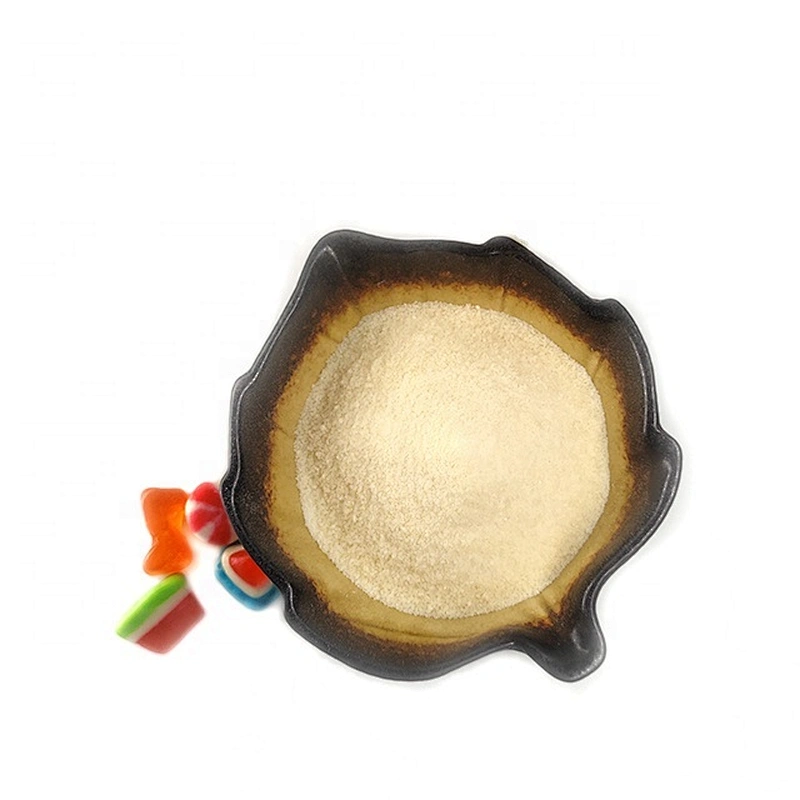Good Price Well Known Brand Granule Gelatin for Food Additive Wholesale Price Gelatin
